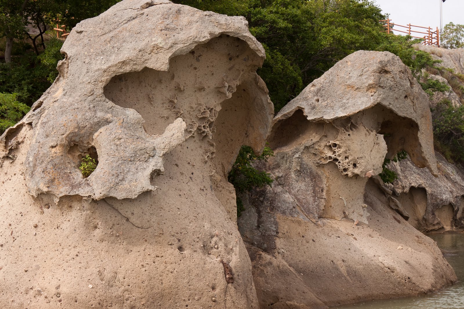 https://mdw-travel-data-us-east-1.s3.amazonaws.com/img/country/South-Korea/Mokpo-Natural-History-Museum/img_03.jpg