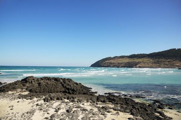https://mdw-travel-data-us-east-1.s3.amazonaws.com/img/country/South-Korea/Mugeoduk-Beach/img_03.jpg