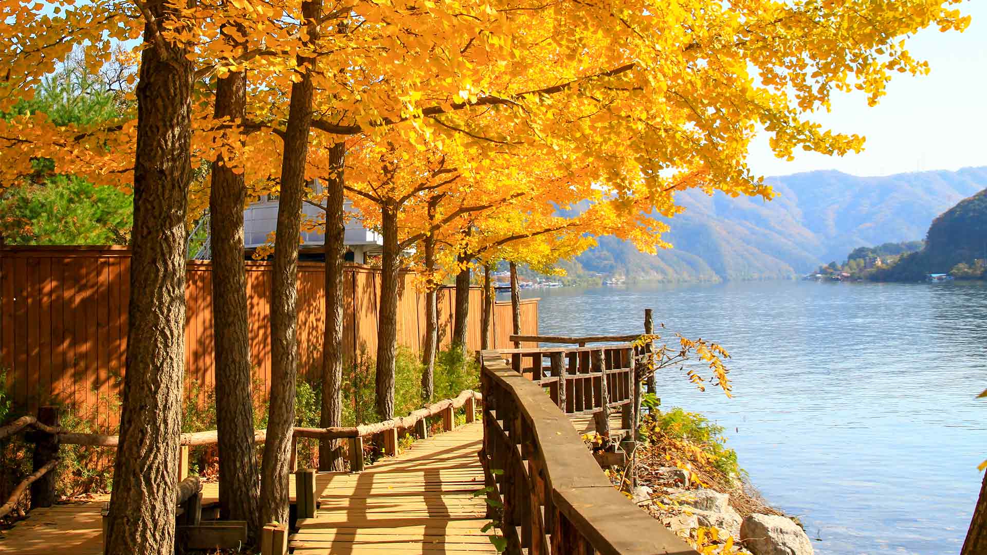 https://mdw-travel-data-us-east-1.s3.amazonaws.com/img/country/South-Korea/Nami-Island/img_01.jpg