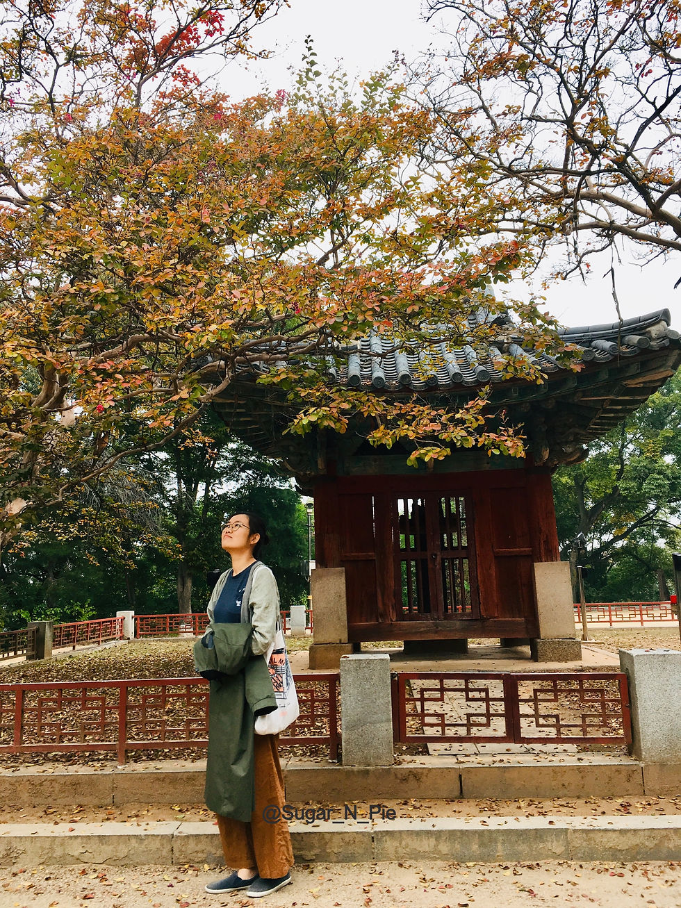 https://mdw-travel-data-us-east-1.s3.amazonaws.com/img/country/South-Korea/Omokdae-and-Imokdae/img_00.jpg