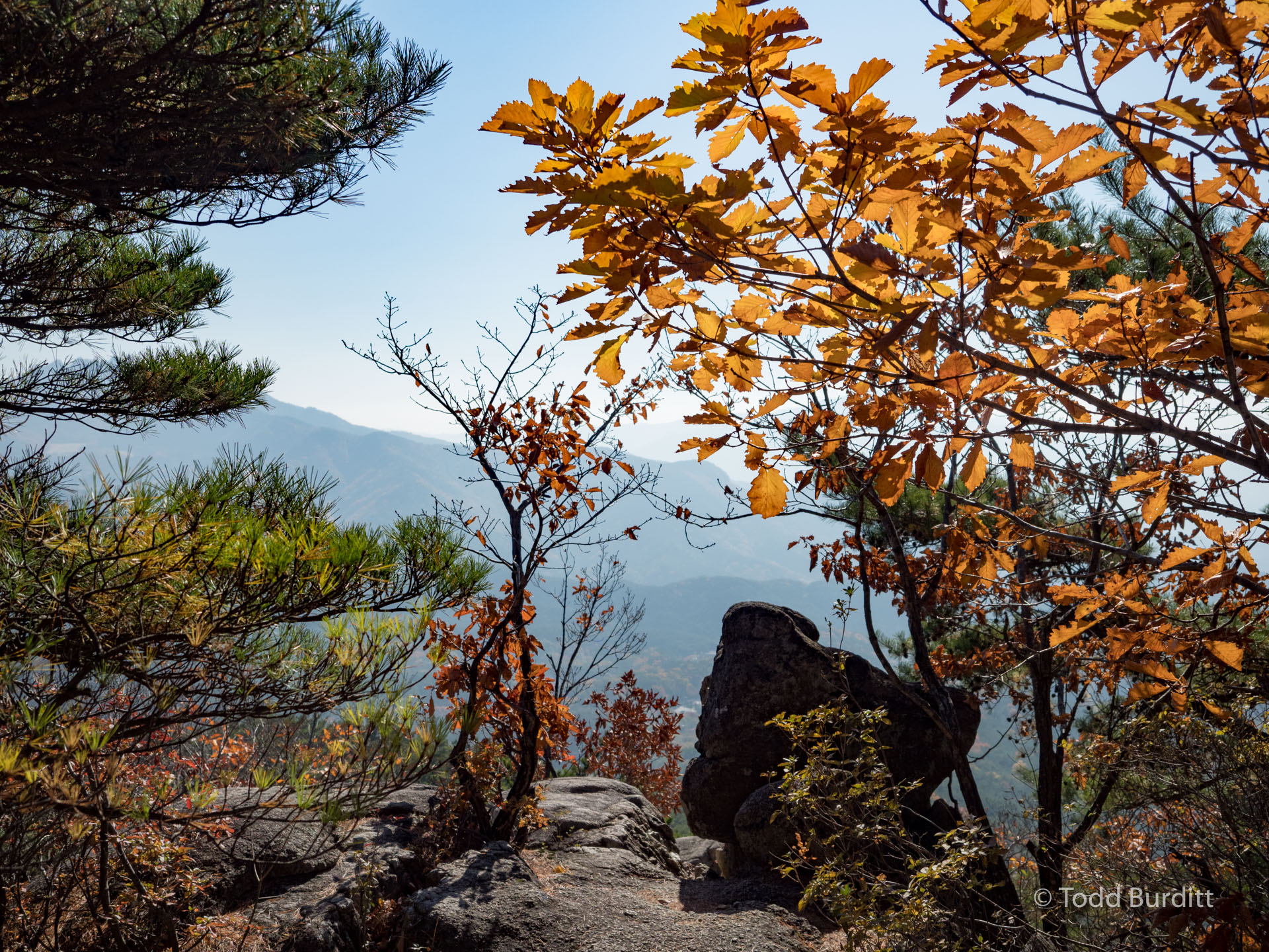 https://mdw-travel-data-us-east-1.s3.amazonaws.com/img/country/South-Korea/Palgong-Mountain/img_02.jpg