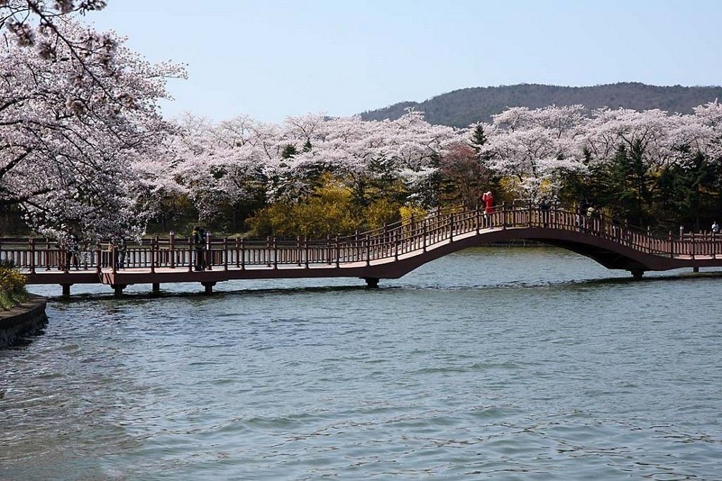 https://mdw-travel-data-us-east-1.s3.amazonaws.com/img/country/South-Korea/Peach-Blossom-Hill/img_03.jpg