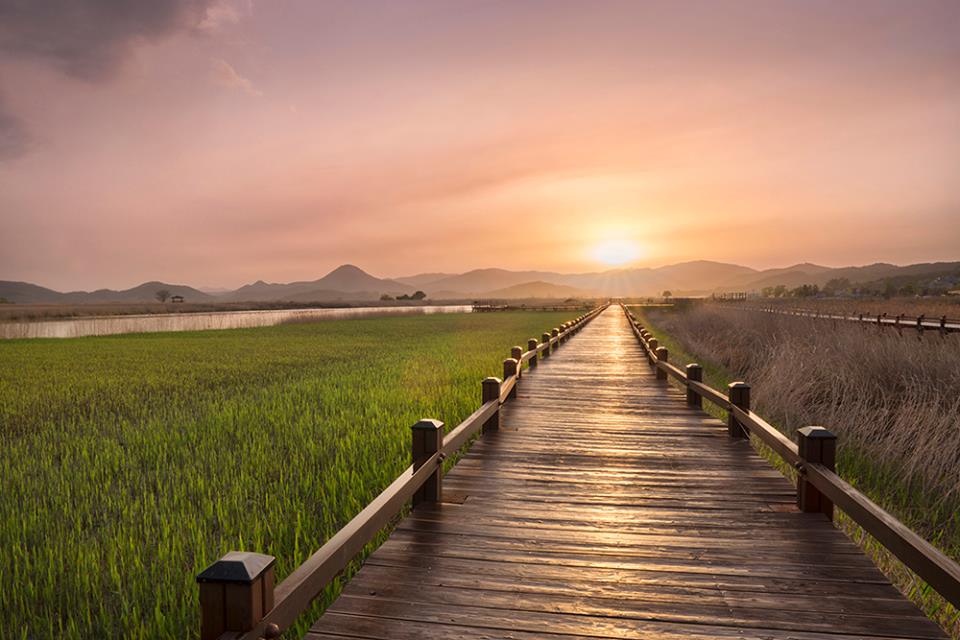 https://mdw-travel-data-us-east-1.s3.amazonaws.com/img/country/South-Korea/Private-Museum-of-Suncheon-Yongsan-Family/img_01.jpg