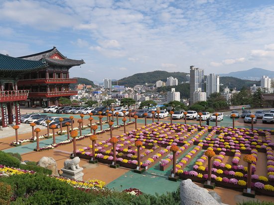 https://mdw-travel-data-us-east-1.s3.amazonaws.com/img/country/South-Korea/Samgwangsa-Temple/img_03.jpg