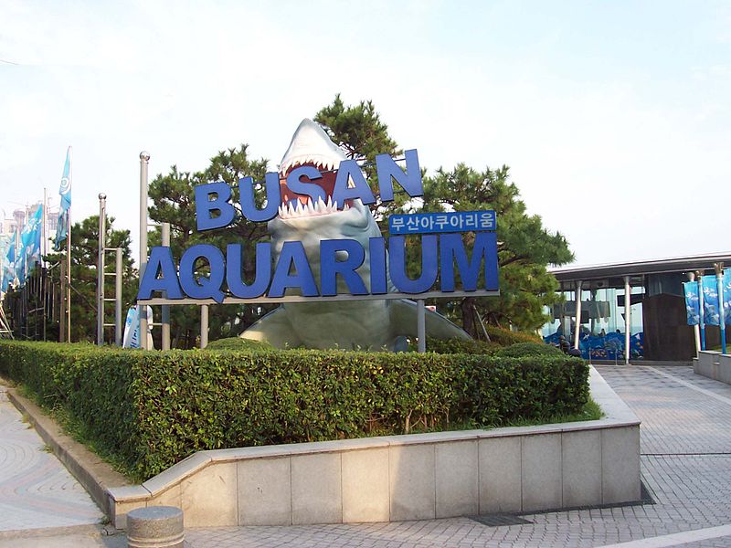 https://mdw-travel-data-us-east-1.s3.amazonaws.com/img/country/South-Korea/Sea-Life-Busan-Aquarium/img_01.jpg