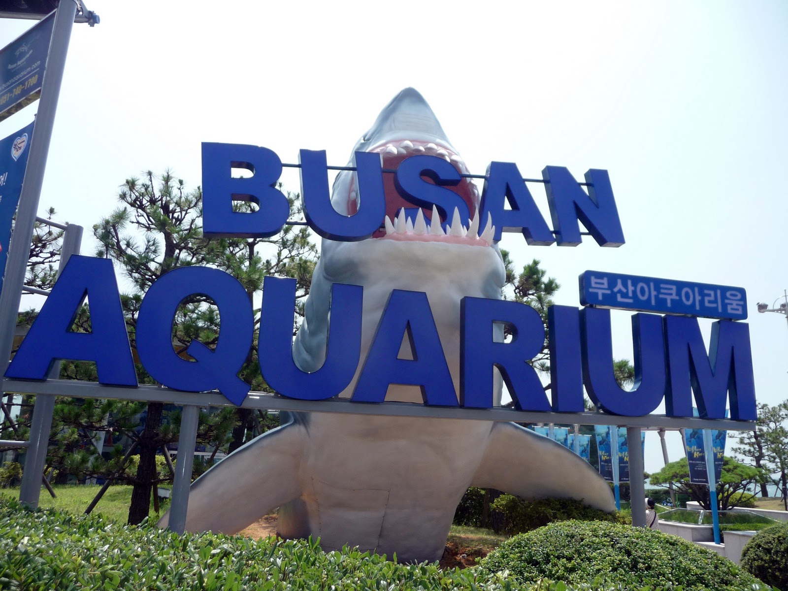 https://mdw-travel-data-us-east-1.s3.amazonaws.com/img/country/South-Korea/Sea-Life-Busan-Aquarium/img_02.jpg