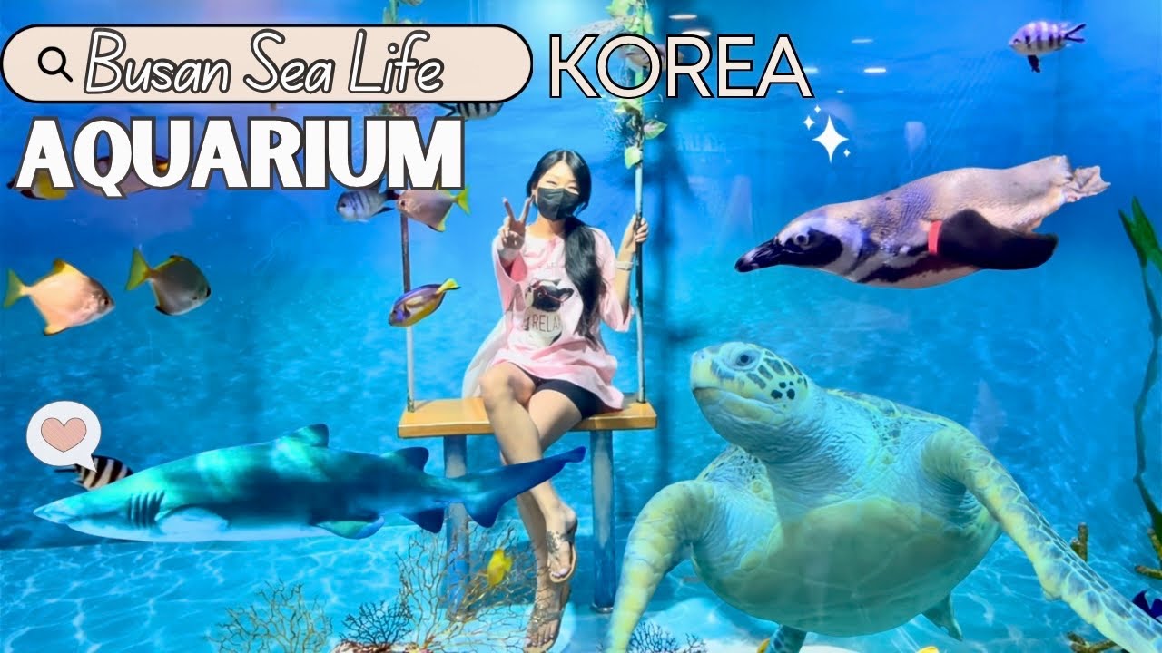 https://mdw-travel-data-us-east-1.s3.amazonaws.com/img/country/South-Korea/Sea-Life-Busan-Aquarium/img_03.jpg
