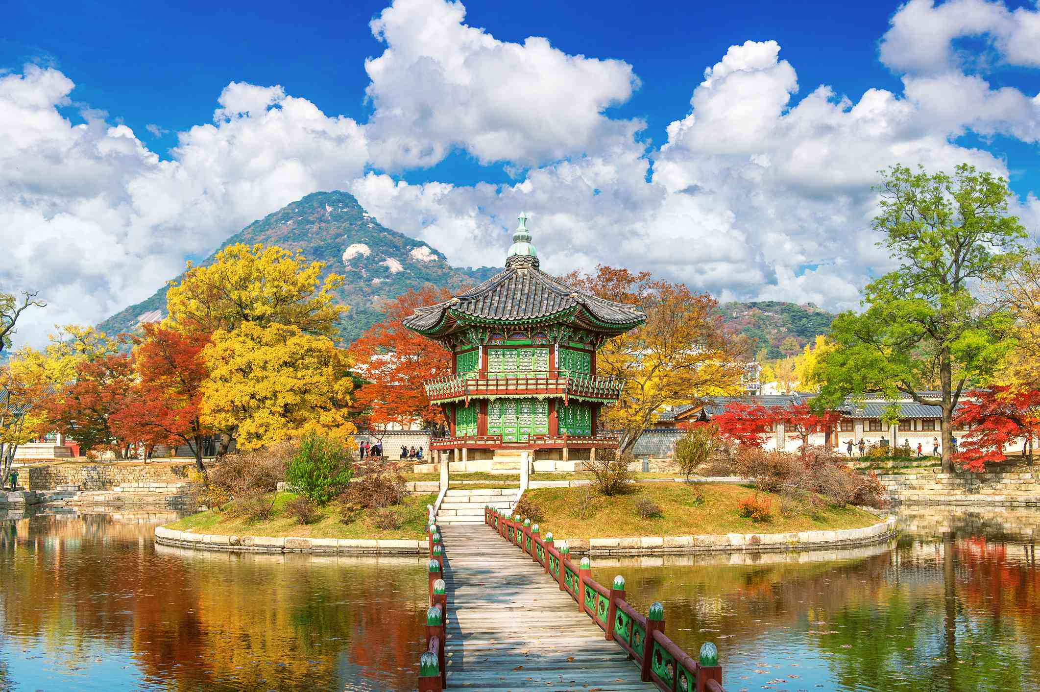 https://mdw-travel-data-us-east-1.s3.amazonaws.com/img/country/South-Korea/Seocheon-Eunhaengnamu-Experience-Center/img_05.jpg