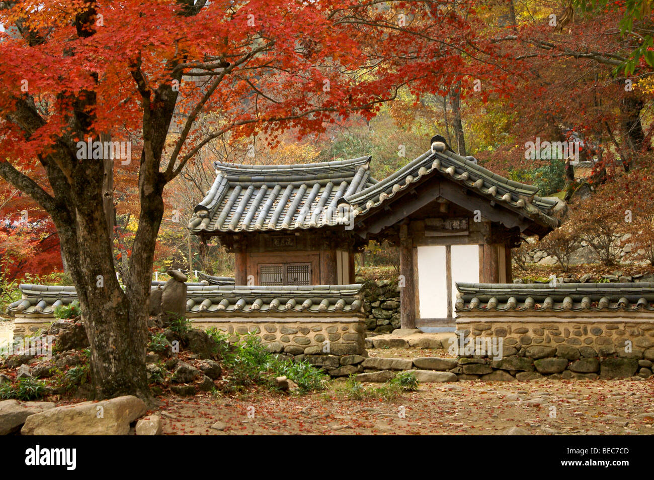 https://mdw-travel-data-us-east-1.s3.amazonaws.com/img/country/South-Korea/Seonamsa-Temple/img_02.jpg