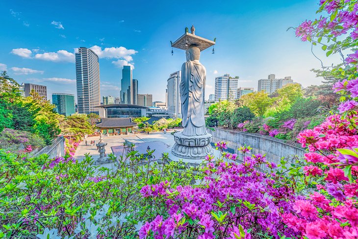 https://mdw-travel-data-us-east-1.s3.amazonaws.com/img/country/South-Korea/Seoul-City-Wall/img_03.jpg