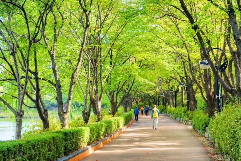 https://mdw-travel-data-us-east-1.s3.amazonaws.com/img/country/South-Korea/Seoul-Forest/img_01.jpg