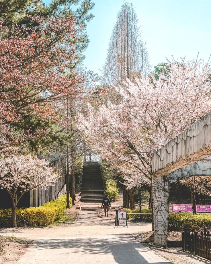 https://mdw-travel-data-us-east-1.s3.amazonaws.com/img/country/South-Korea/Seoul-Forest/img_02.jpg