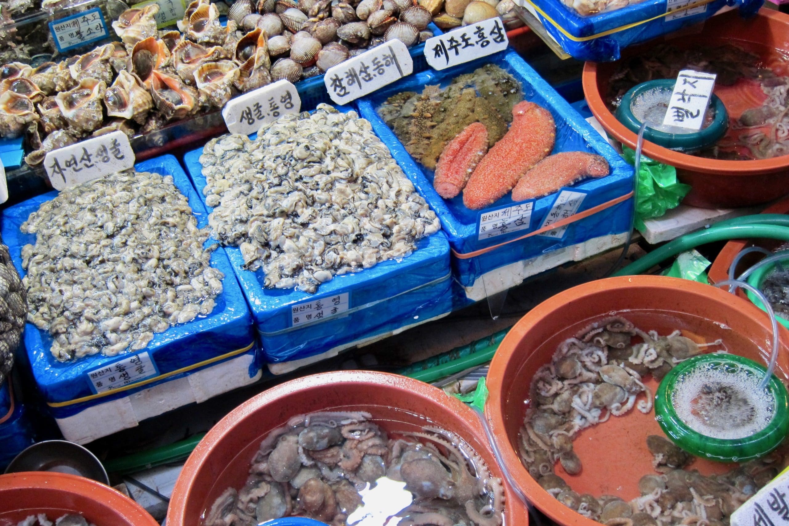 https://mdw-travel-data-us-east-1.s3.amazonaws.com/img/country/South-Korea/Sinpohang-Fish-Market/img_00.jpg