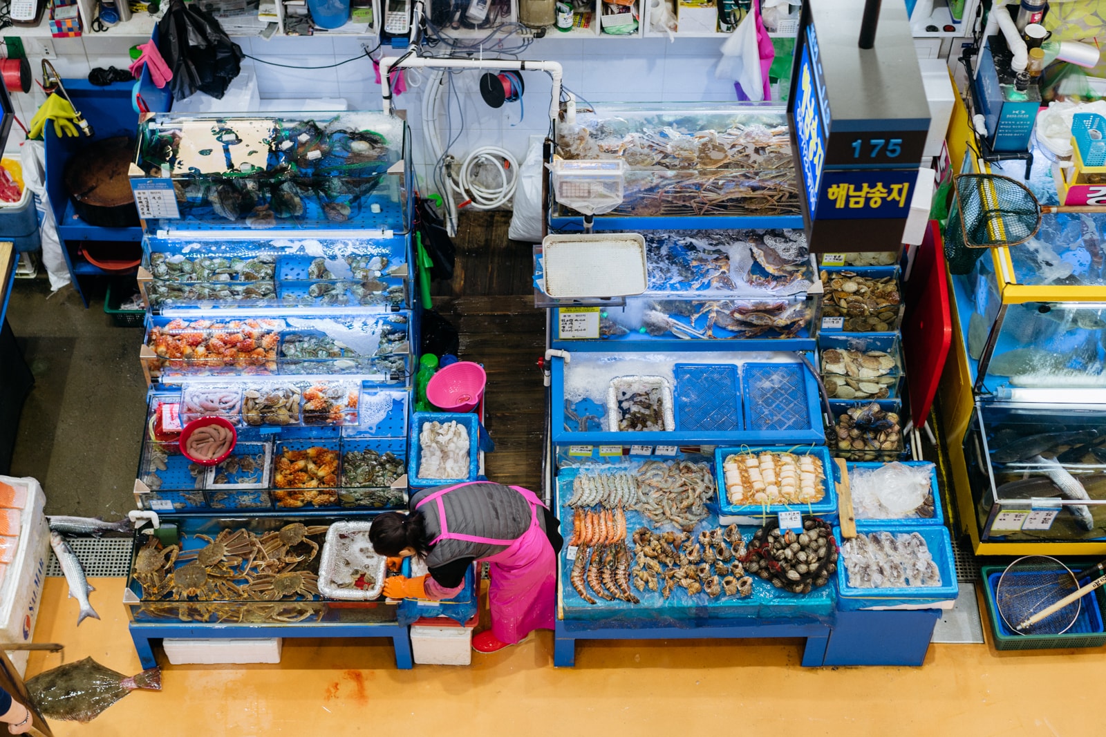 https://mdw-travel-data-us-east-1.s3.amazonaws.com/img/country/South-Korea/Sinpohang-Fish-Market/img_01.jpg