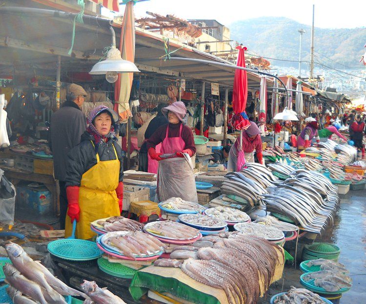 https://mdw-travel-data-us-east-1.s3.amazonaws.com/img/country/South-Korea/Sinpohang-Fish-Market/img_02.jpg