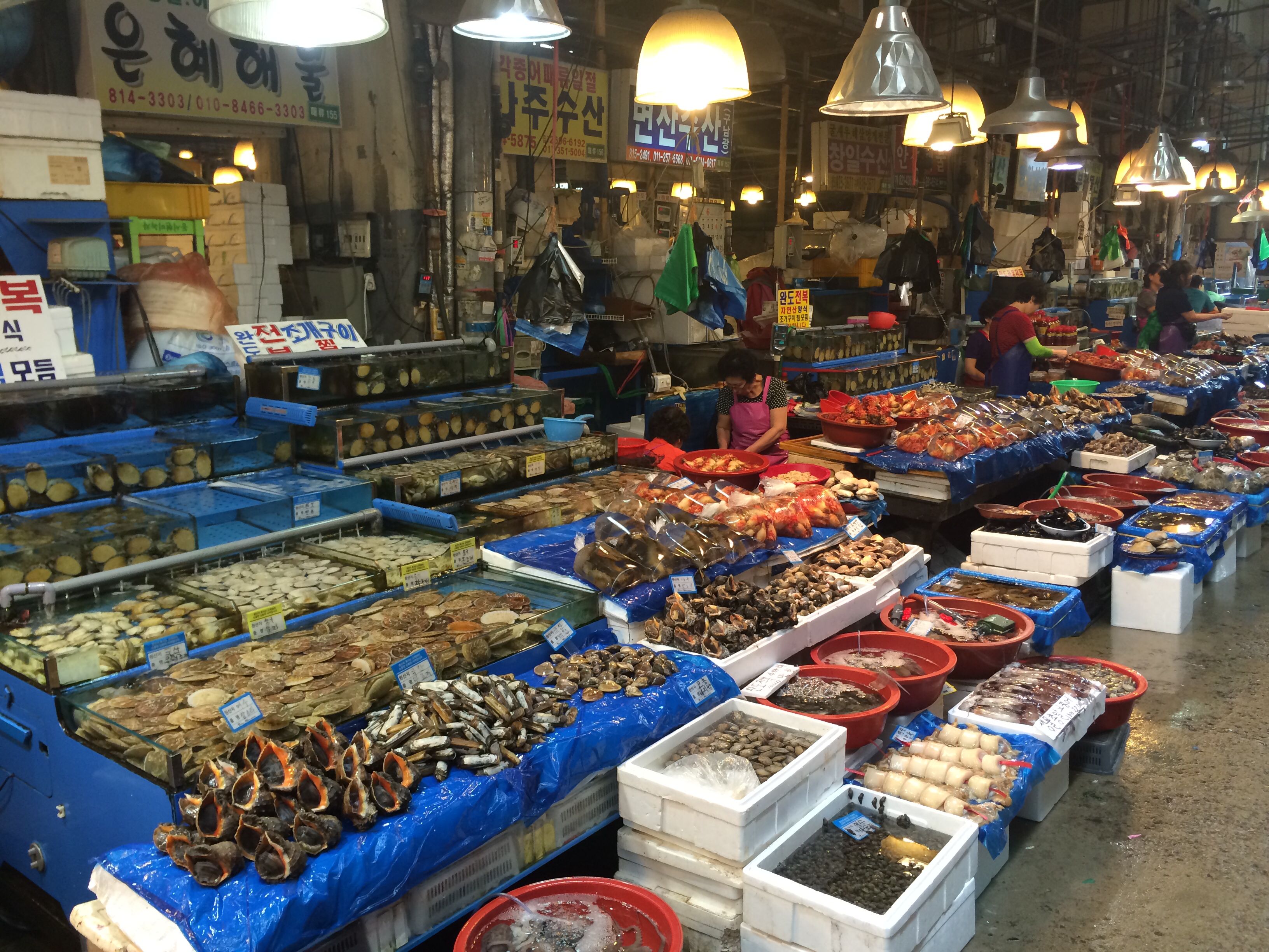 https://mdw-travel-data-us-east-1.s3.amazonaws.com/img/country/South-Korea/Sinpohang-Fish-Market/img_03.jpg