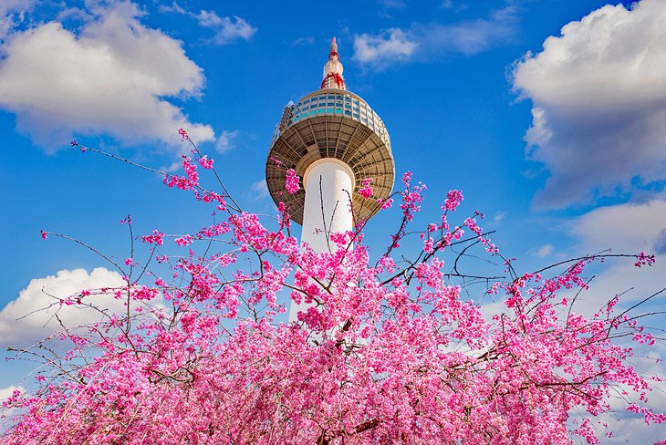 https://mdw-travel-data-us-east-1.s3.amazonaws.com/img/country/South-Korea/Sky-Park/img_01.jpg
