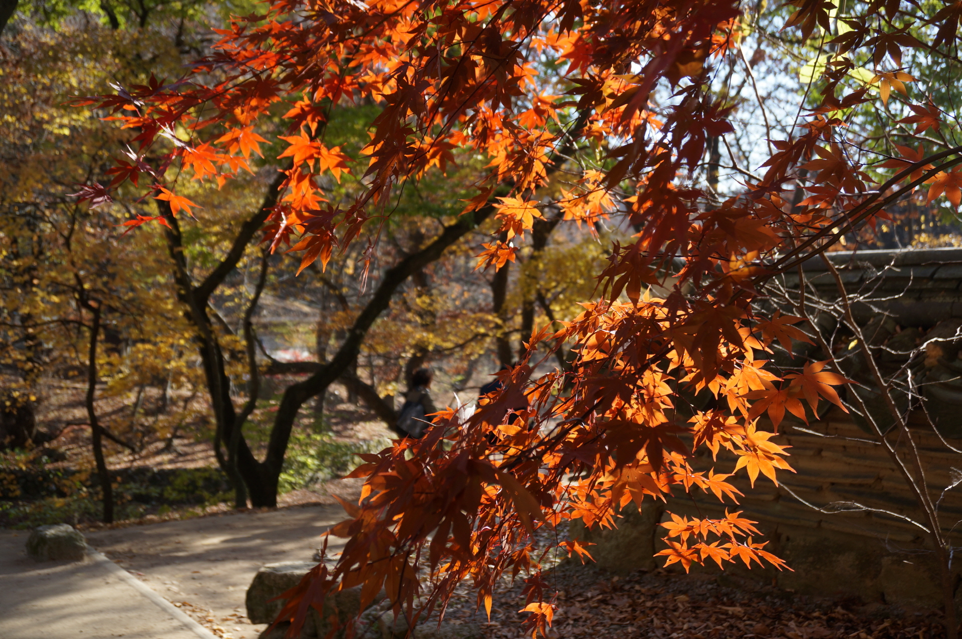 https://mdw-travel-data-us-east-1.s3.amazonaws.com/img/country/South-Korea/Songnisan-National-Park/img_04.jpg
