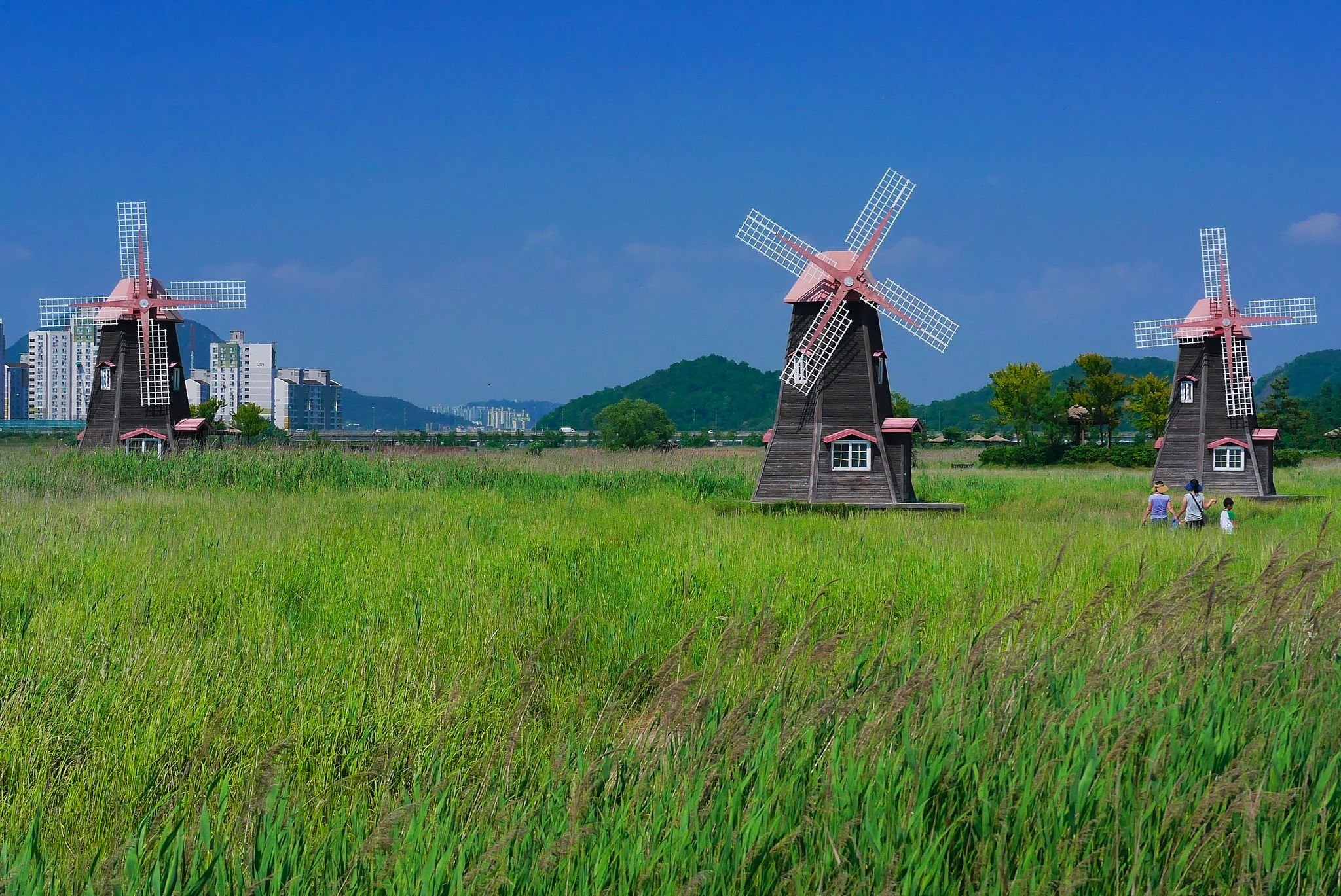https://mdw-travel-data-us-east-1.s3.amazonaws.com/img/country/South-Korea/Sorae-Ecology-Park/img_00.jpg