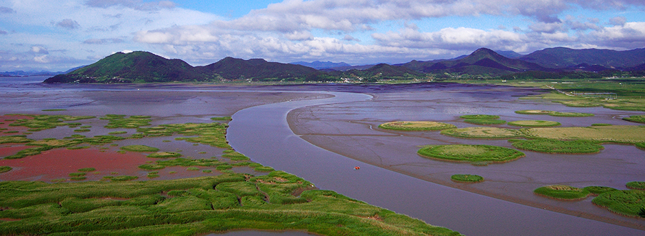 https://mdw-travel-data-us-east-1.s3.amazonaws.com/img/country/South-Korea/Suncheon-Bay-Ecological-Park/img_01.jpg