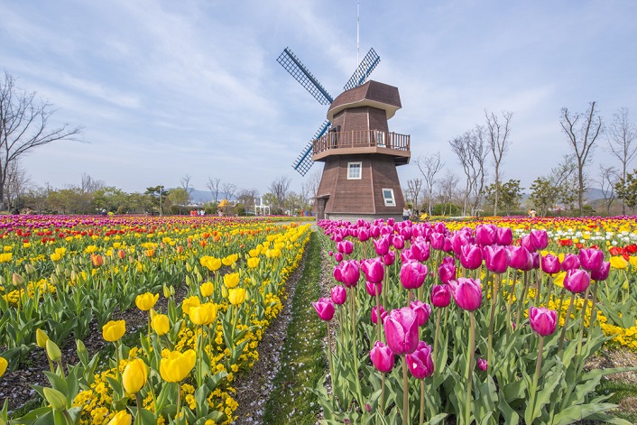 https://mdw-travel-data-us-east-1.s3.amazonaws.com/img/country/South-Korea/Suncheon-Bay-National-Garden/img_03.jpg