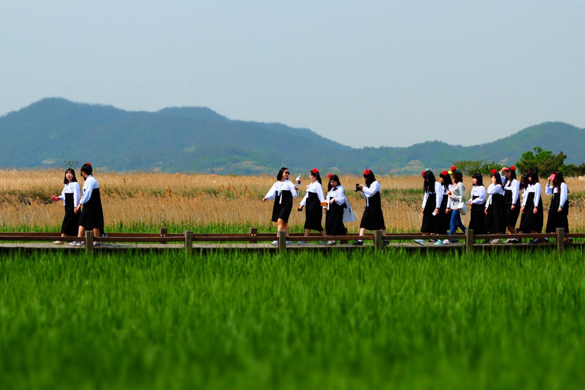 https://mdw-travel-data-us-east-1.s3.amazonaws.com/img/country/South-Korea/Suncheon-Bay-Wetland-Reserve/img_00.jpg