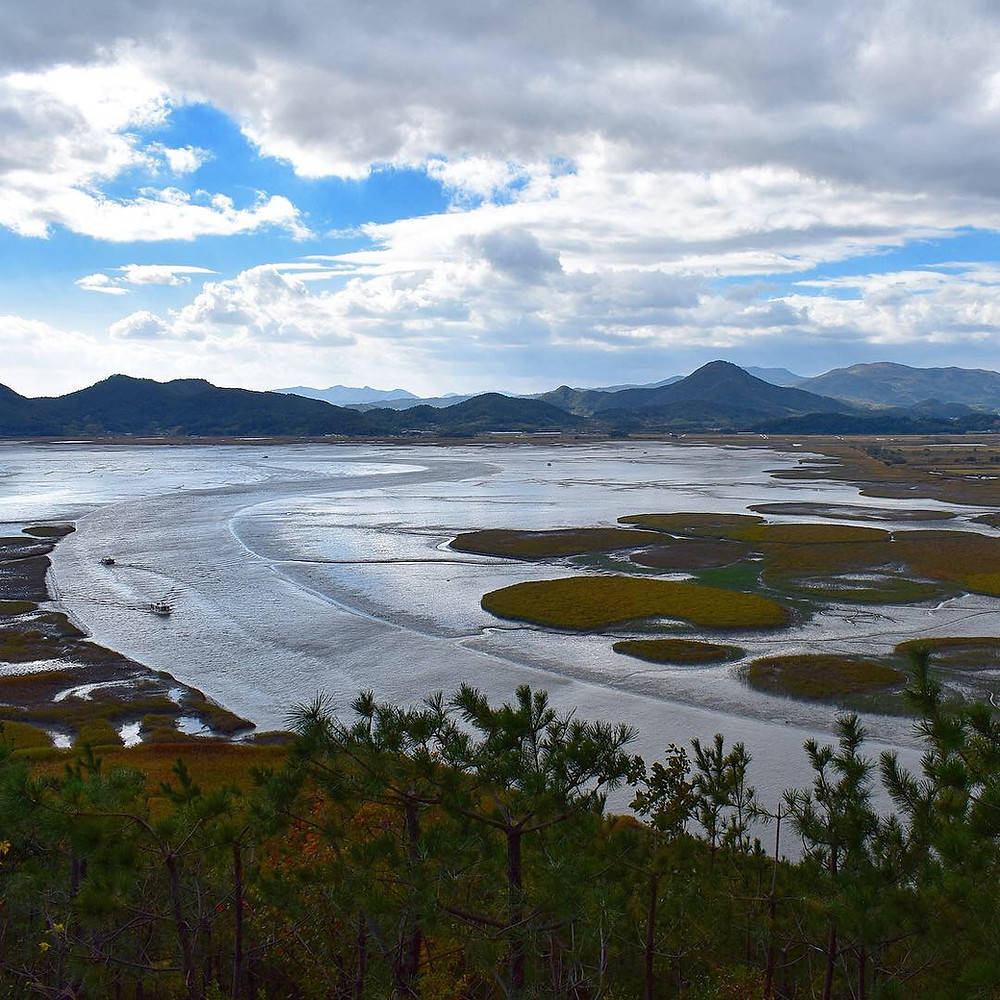 https://mdw-travel-data-us-east-1.s3.amazonaws.com/img/country/South-Korea/Suncheon-Bay-Wetland-Reserve/img_01.jpg