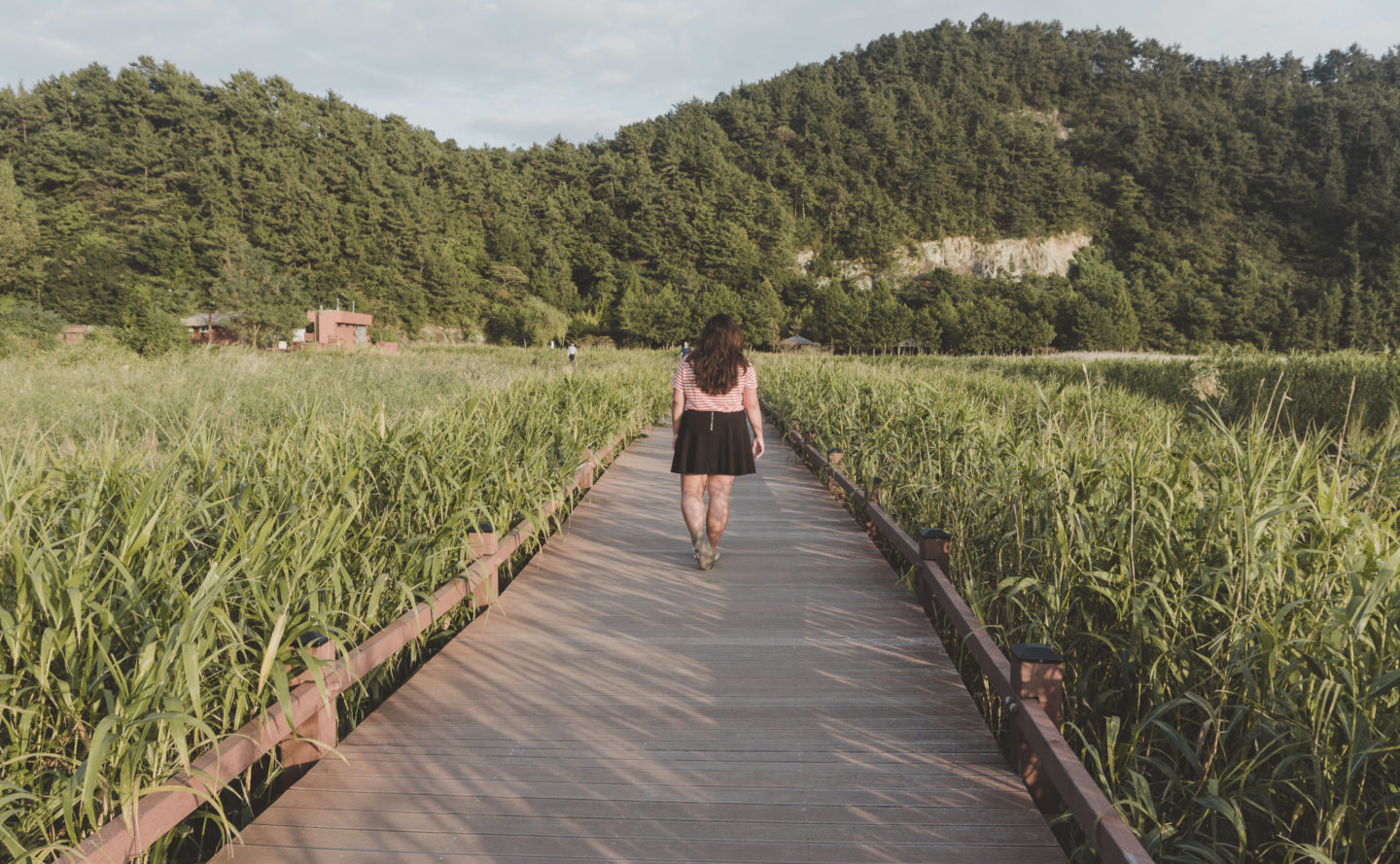 https://mdw-travel-data-us-east-1.s3.amazonaws.com/img/country/South-Korea/Suncheon-Bay-Wetland-Reserve/img_03.jpg