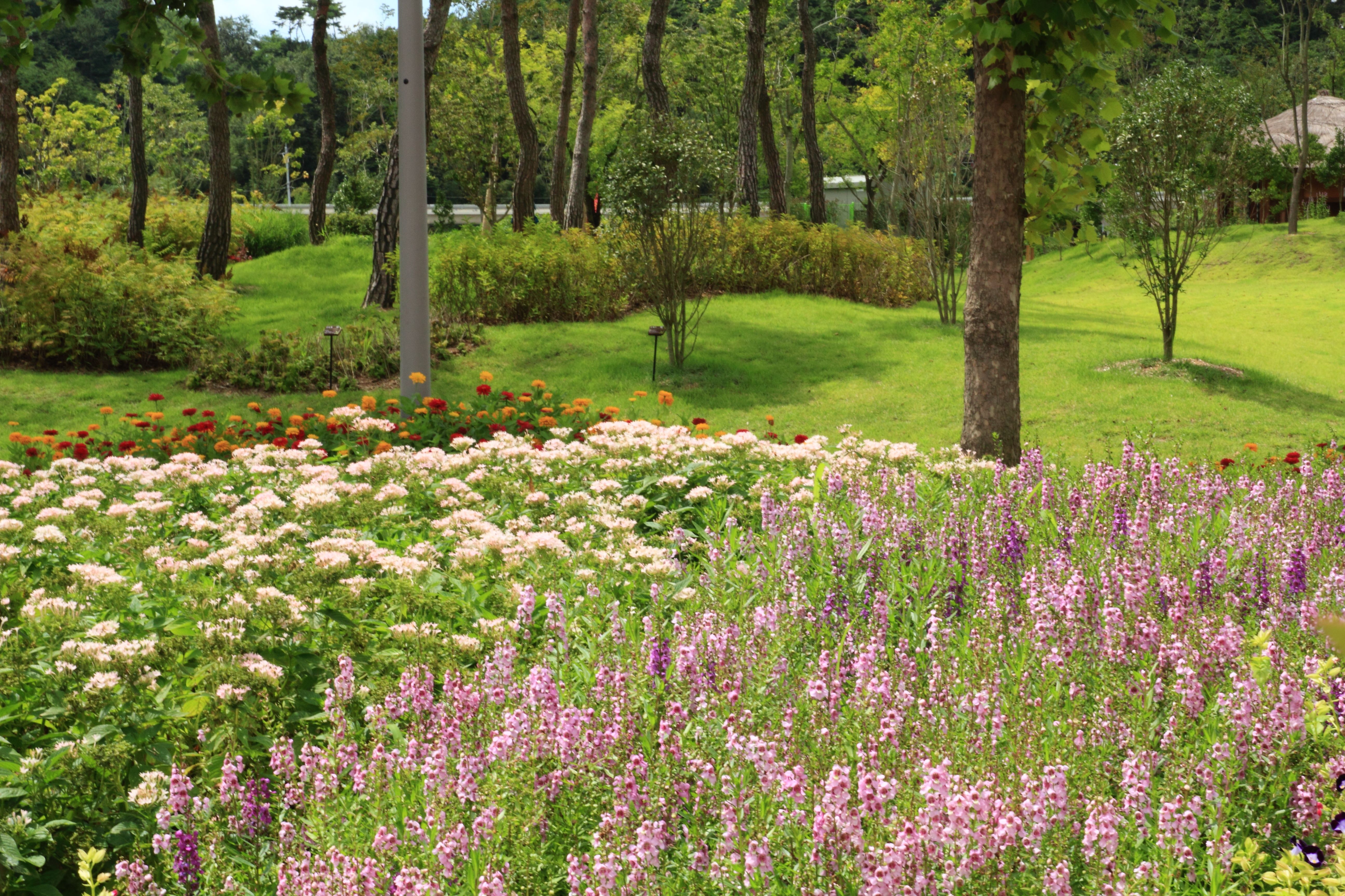 https://mdw-travel-data-us-east-1.s3.amazonaws.com/img/country/South-Korea/Suncheon-Bonsai-Garden/img_02.jpg