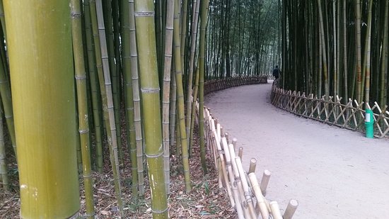 https://mdw-travel-data-us-east-1.s3.amazonaws.com/img/country/South-Korea/Taehwa-River-Seepri-Bamboo-Grove/img_00.jpg