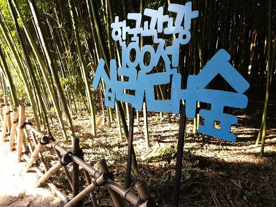 https://mdw-travel-data-us-east-1.s3.amazonaws.com/img/country/South-Korea/Taehwa-River-Seepri-Bamboo-Grove/img_01.jpg