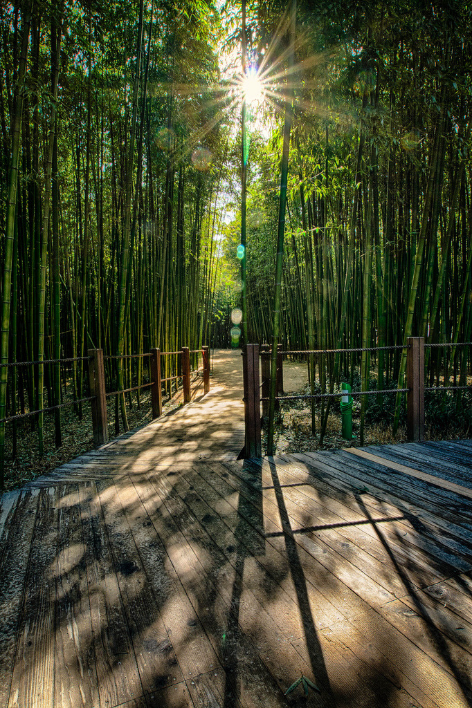 https://mdw-travel-data-us-east-1.s3.amazonaws.com/img/country/South-Korea/Taehwa-River-Seepri-Bamboo-Grove/img_03.jpg