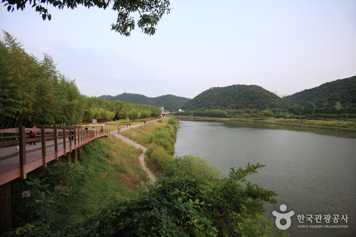 https://mdw-travel-data-us-east-1.s3.amazonaws.com/img/country/South-Korea/Taehwagang-National-Garden/img_03.jpg