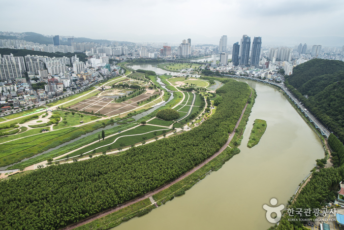 https://mdw-travel-data-us-east-1.s3.amazonaws.com/img/country/South-Korea/Taehwagang-River-Fishing-Village/img_00.jpg