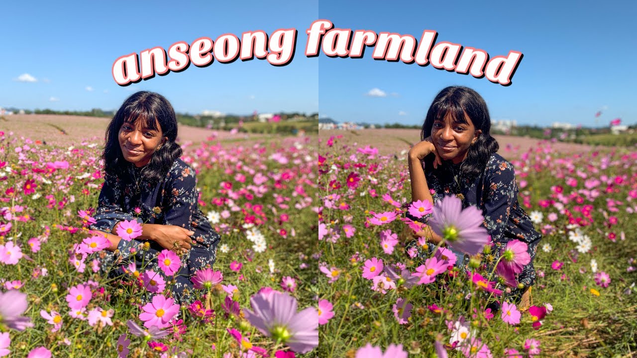 https://mdw-travel-data-us-east-1.s3.amazonaws.com/img/country/South-Korea/The-Anseong-Farmland/img_03.jpg