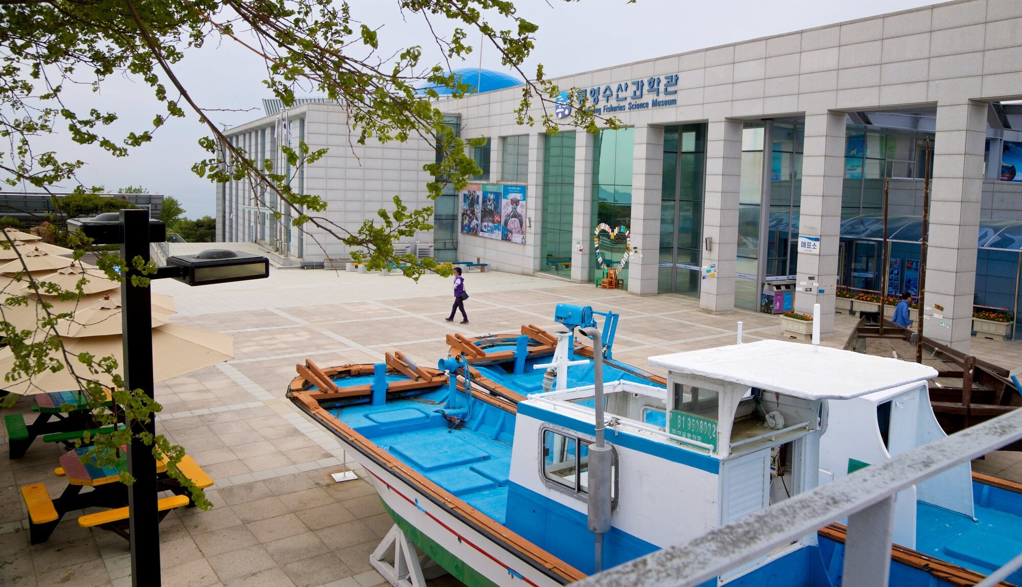 https://mdw-travel-data-us-east-1.s3.amazonaws.com/img/country/South-Korea/Tongyeong-Fisheries-Science-Museum/img_02.jpg