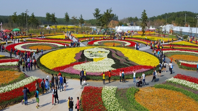 https://mdw-travel-data-us-east-1.s3.amazonaws.com/img/country/South-Korea/Tulip-Festival/img_01.jpg