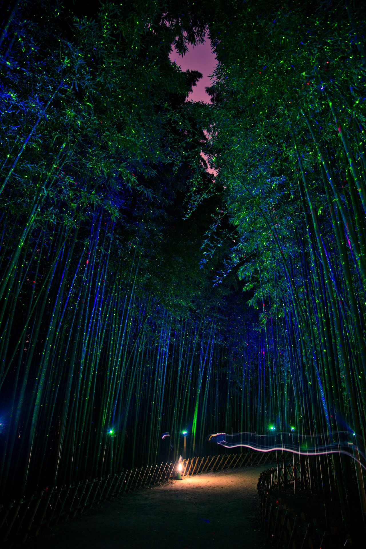 https://mdw-travel-data-us-east-1.s3.amazonaws.com/img/country/South-Korea/Ulsan-Bamboo-Forest/img_03.jpg