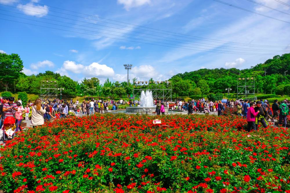 https://mdw-travel-data-us-east-1.s3.amazonaws.com/img/country/South-Korea/Ulsan-Grand-Park/img_01.jpg