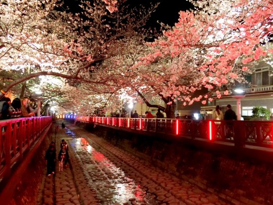 https://mdw-travel-data-us-east-1.s3.amazonaws.com/img/country/South-Korea/Yeojwacheon-Stream/img_00.jpg