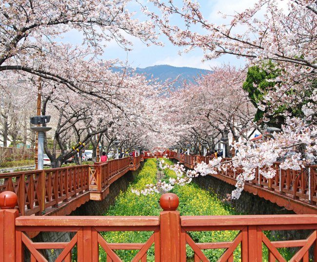 https://mdw-travel-data-us-east-1.s3.amazonaws.com/img/country/South-Korea/Yeojwacheon-Stream/img_01.jpg