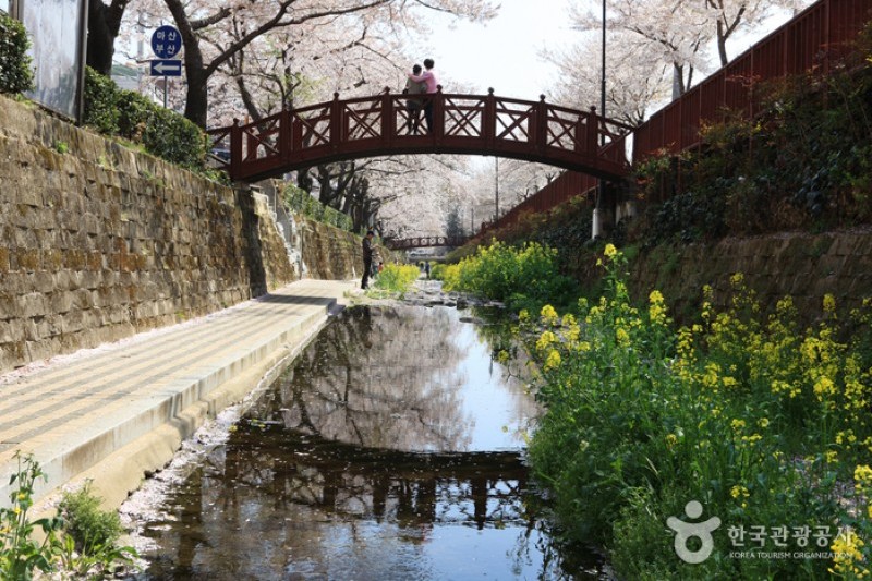 https://mdw-travel-data-us-east-1.s3.amazonaws.com/img/country/South-Korea/Yeojwacheon-Stream/img_02.jpg