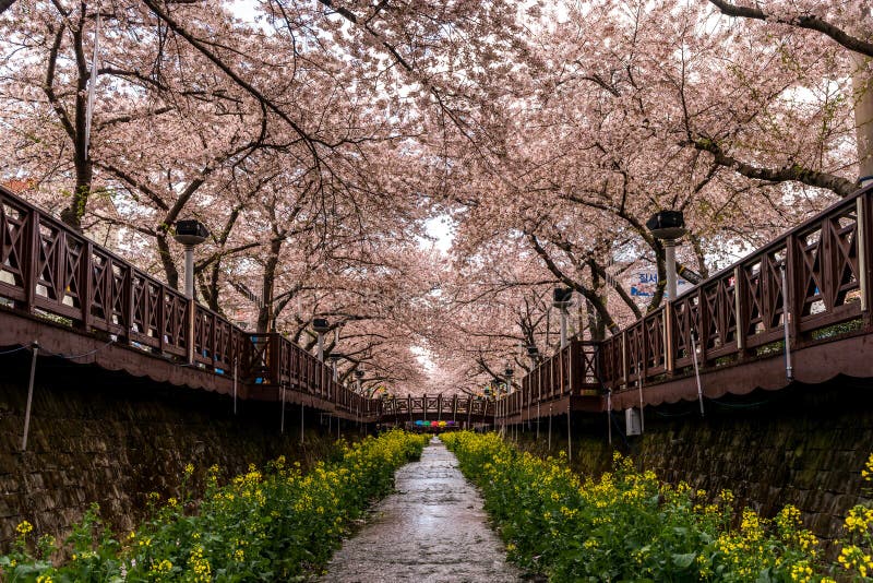 https://mdw-travel-data-us-east-1.s3.amazonaws.com/img/country/South-Korea/Yeojwacheon-Stream/img_03.jpg