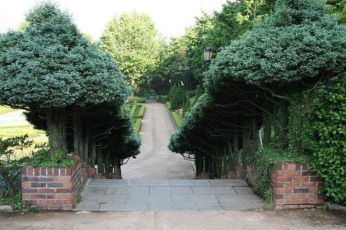https://mdw-travel-data-us-east-1.s3.amazonaws.com/img/country/South-Korea/Yeonmija-Horticulture-Garden/img_01.jpg