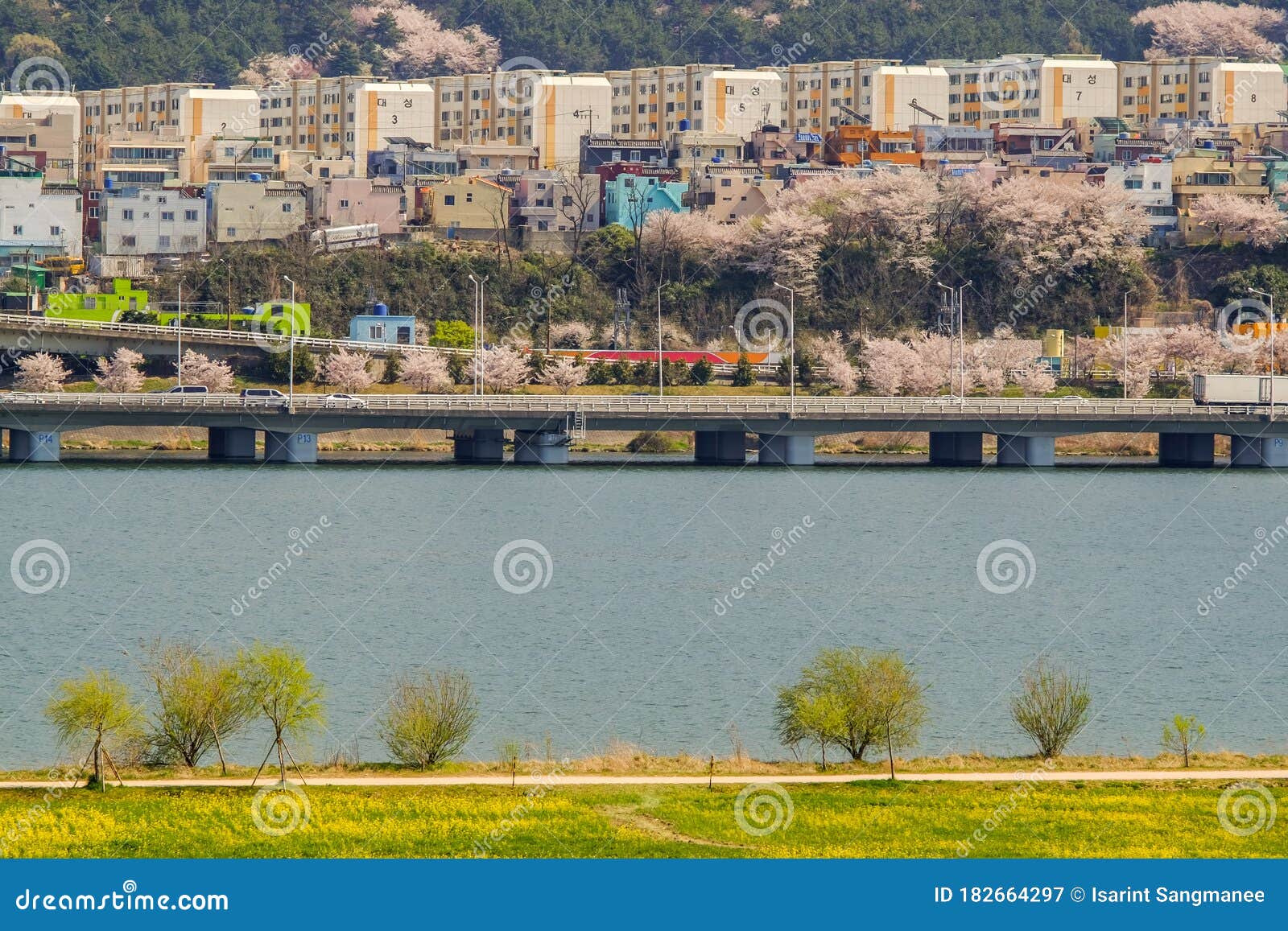 https://mdw-travel-data-us-east-1.s3.amazonaws.com/img/country/South-Korea/Yuchae-Flower-Festival/img_03.jpg