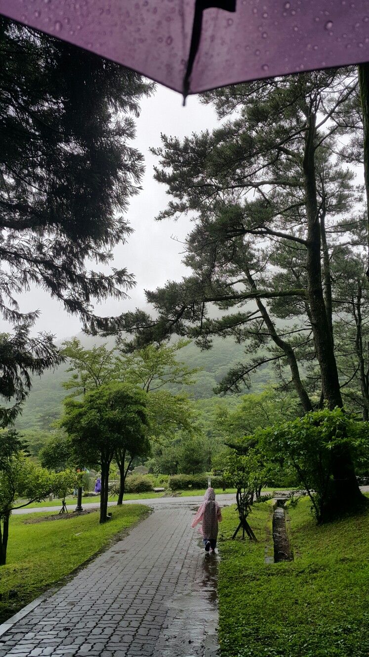https://mdw-travel-data-us-east-1.s3.amazonaws.com/img/country/South-Korea/Yudal-san-Mountain-Recreation-Forest/img_02.jpg
