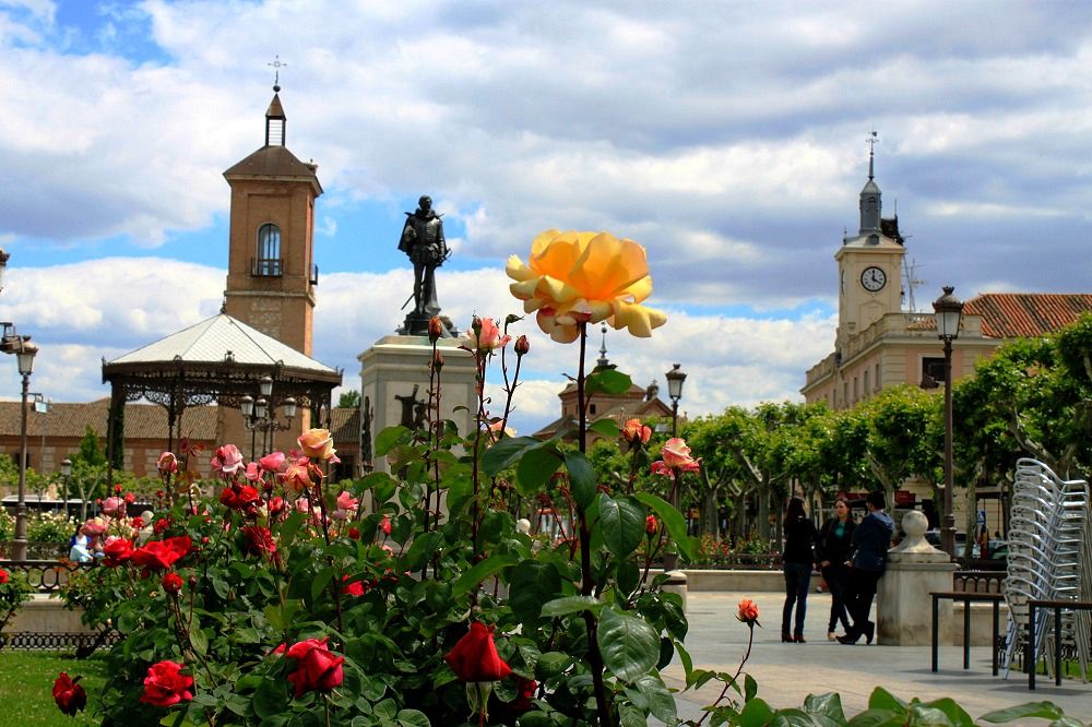 https://mdw-travel-data-us-east-1.s3.amazonaws.com/img/country/Spain/Alcala-de-Henares/img_01.jpg