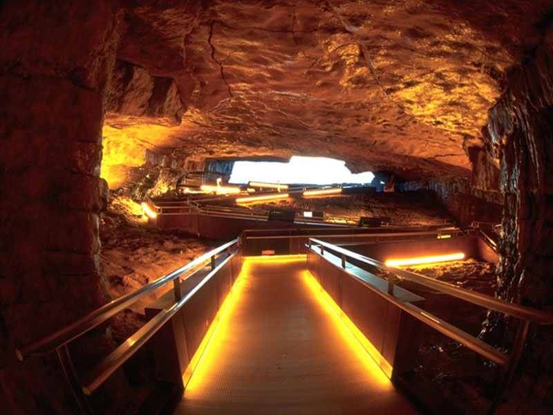 https://mdw-travel-data-us-east-1.s3.amazonaws.com/img/country/Spain/Altamira-Museum/img_01.jpg