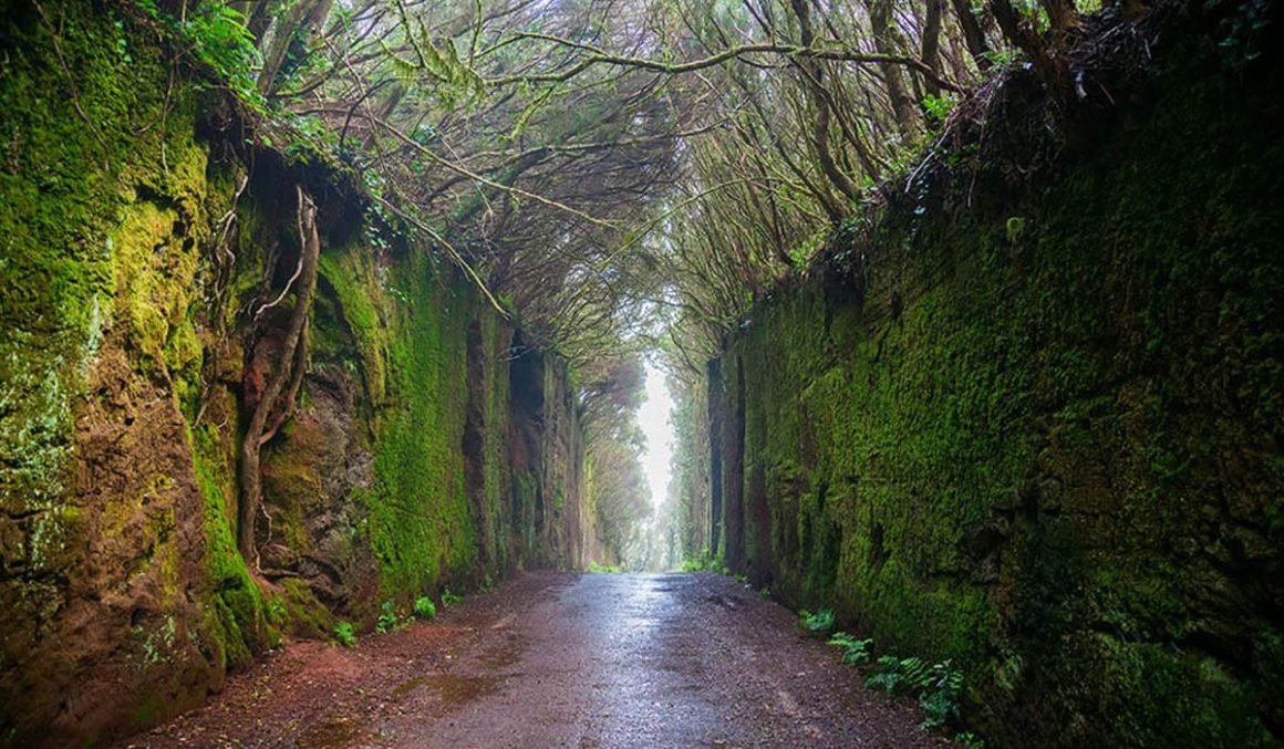https://mdw-travel-data-us-east-1.s3.amazonaws.com/img/country/Spain/Anaga-Rural-Park/img_00.jpg