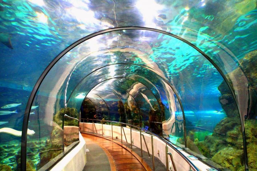 https://mdw-travel-data-us-east-1.s3.amazonaws.com/img/country/Spain/Aquarium-Barcelona/img_01.jpg